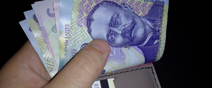 romanian money lei